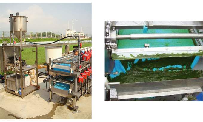 Micro (verde) máquina de recolección de algas (filtrado de múltiples capas)